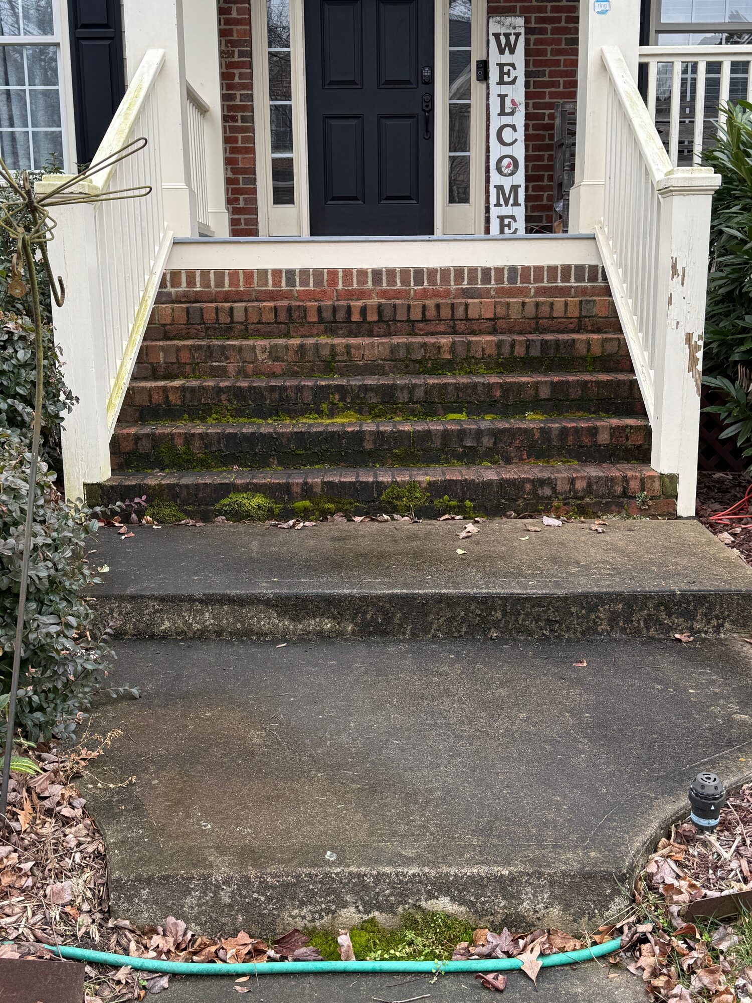 Brick front steps covered in moss, before cleaning
